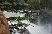 10 - Athabasca Falls - IMG_1069